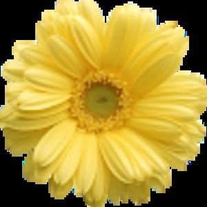 Meet your Posher, Astrid